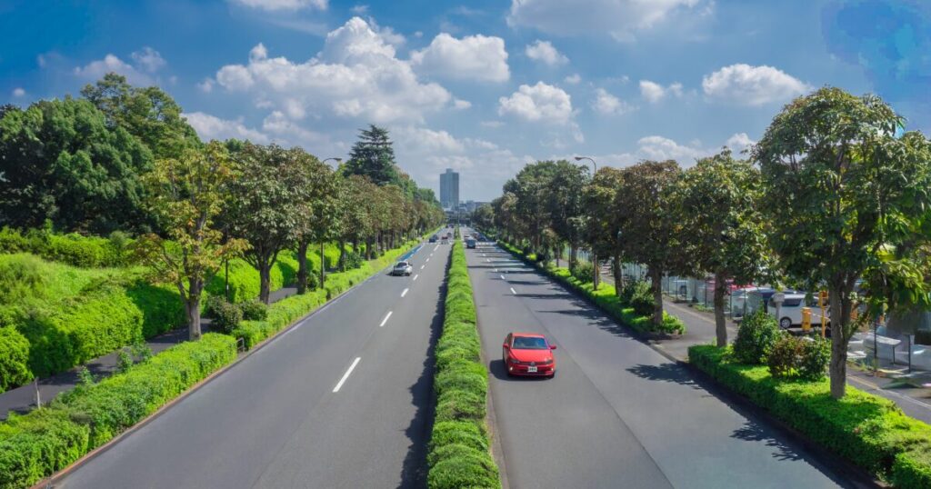 青空と並木道が続く都市の幹線道路