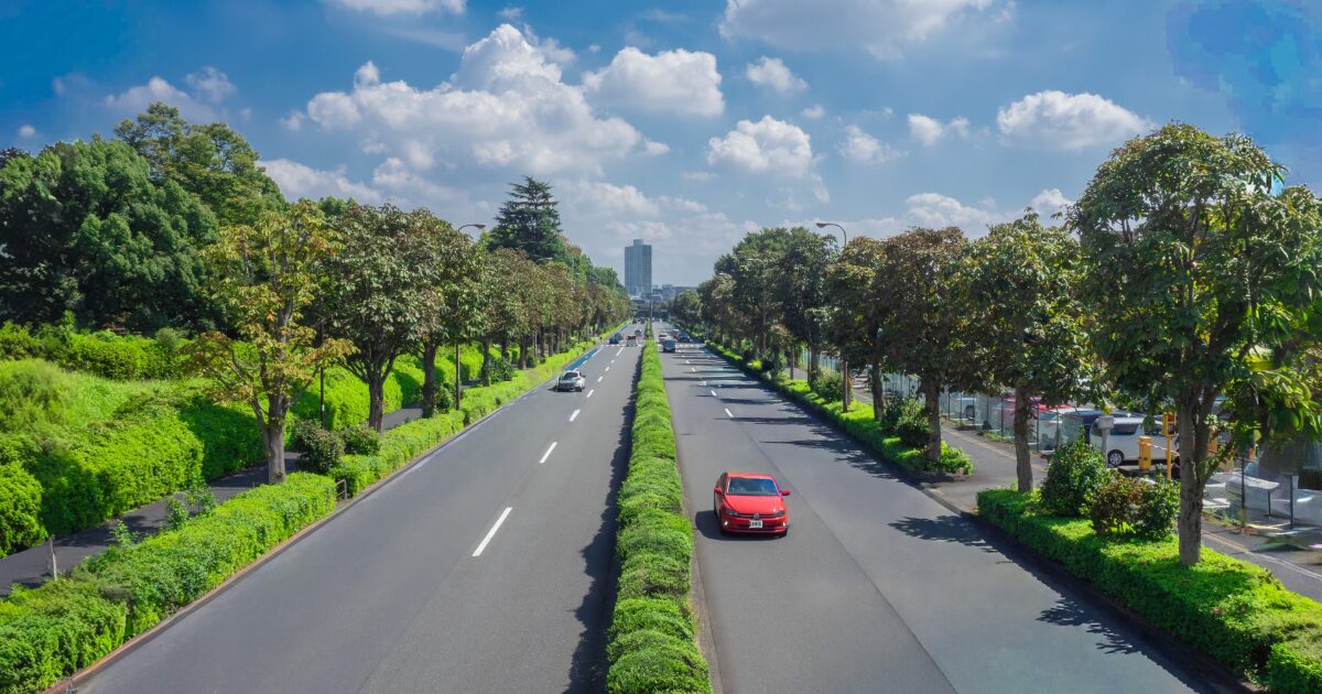 青空と並木道が続く都市の幹線道路