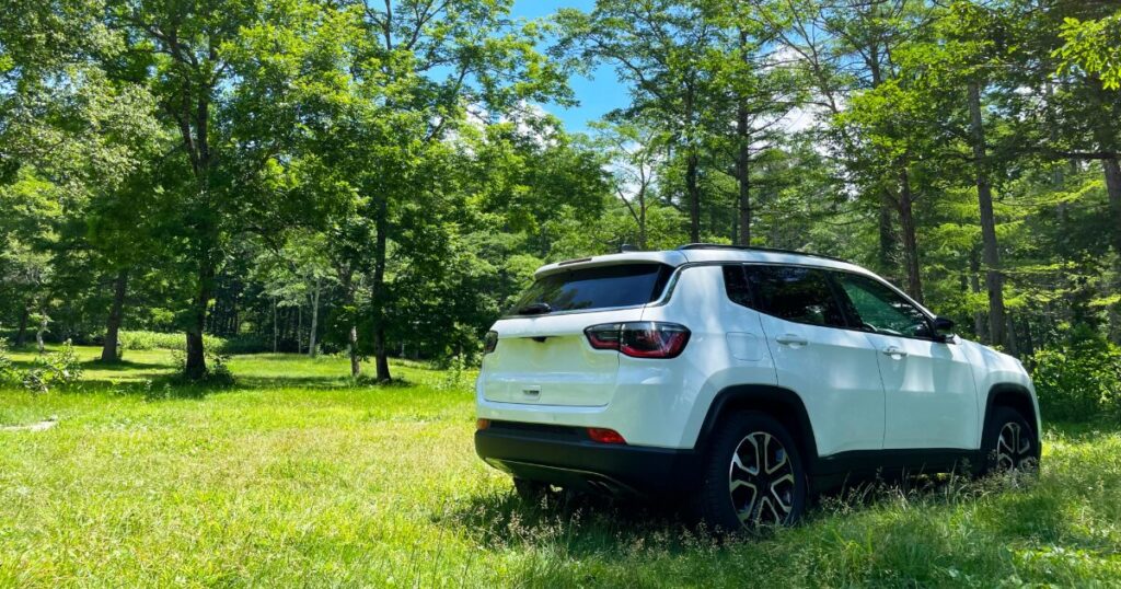 夏の森の中に停まる白いSUV