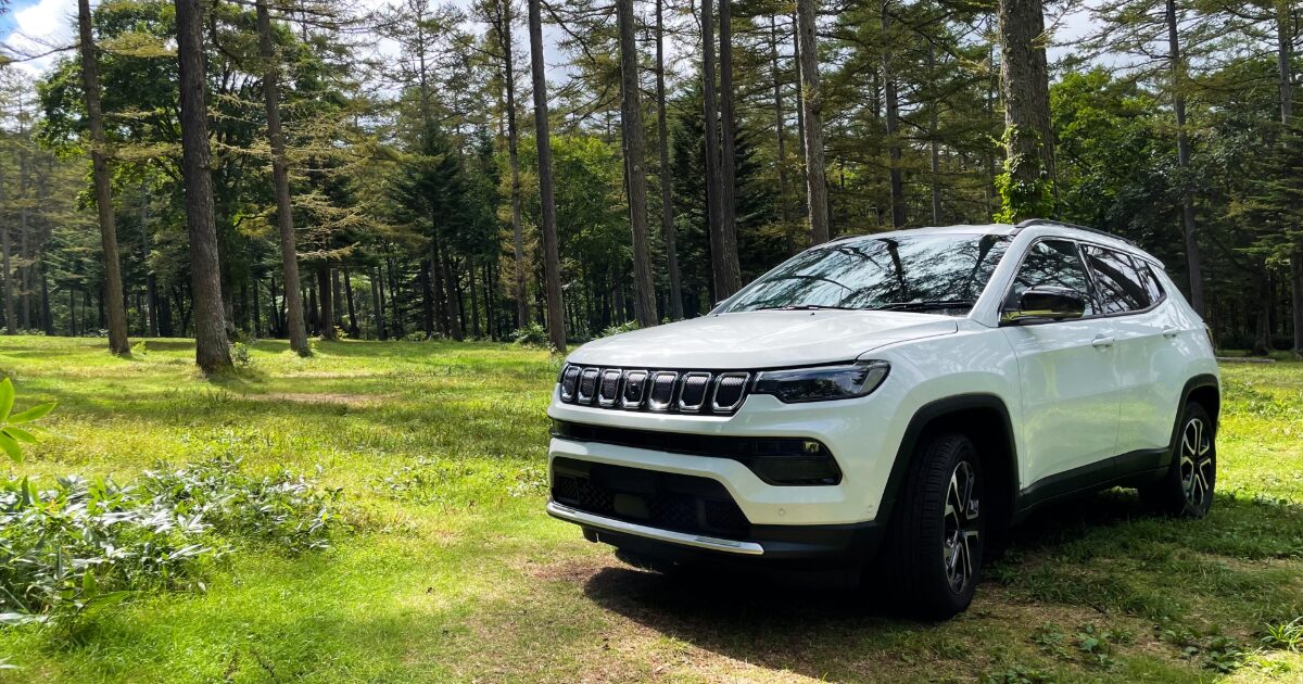 森林の中に停車した白いSUV