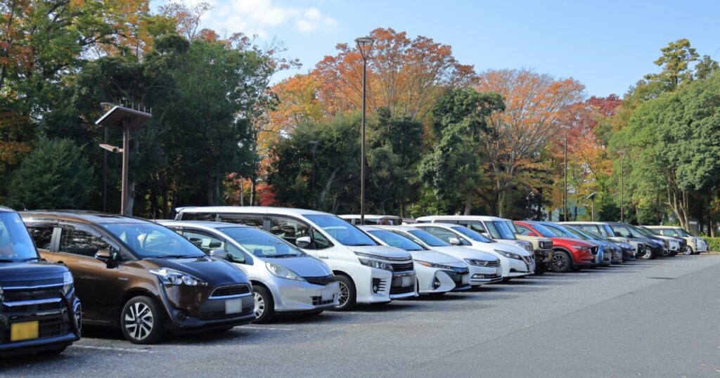 紅葉に囲まれた駐車場に並ぶ車
