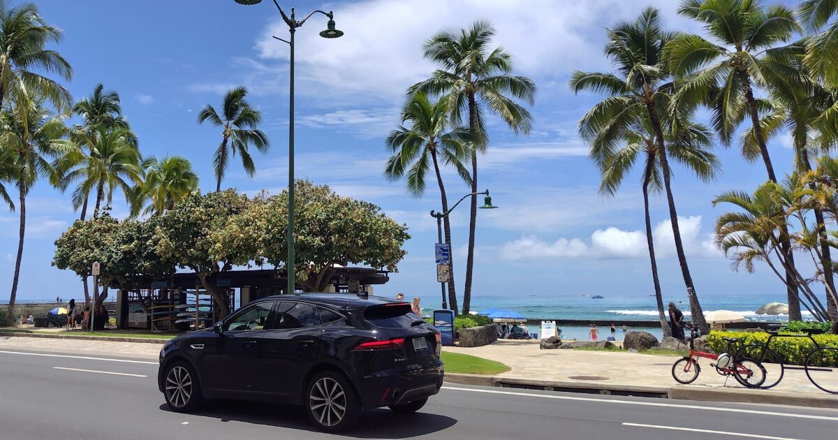 海沿いの道路とヤシの木と黒いSUV