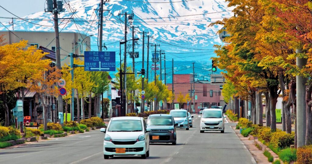 雪山を背景にした街中を走る車