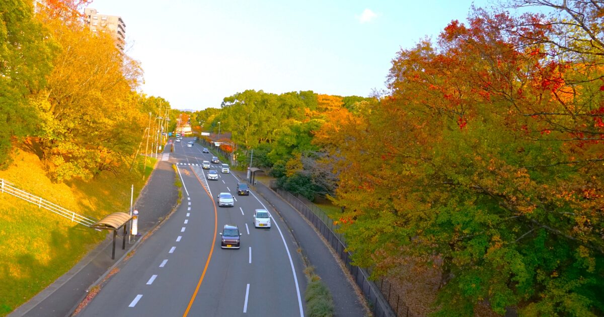 紅葉の並木に囲まれた緩やかな坂道と車