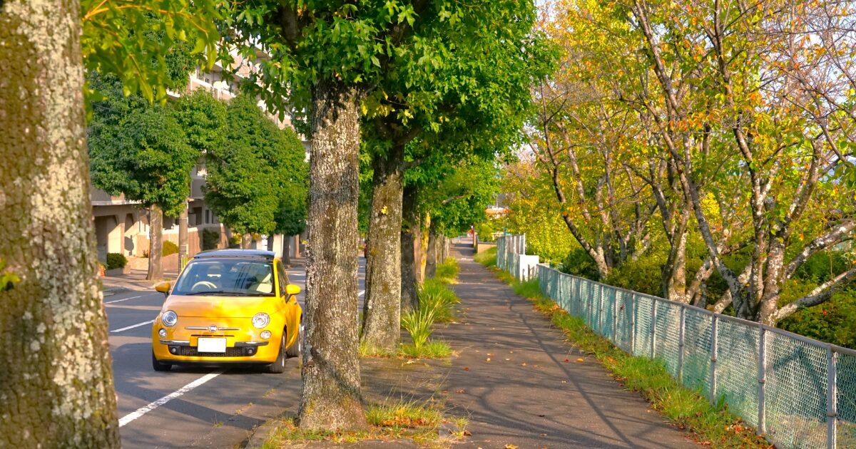 並木道を走る黄色いフィアット